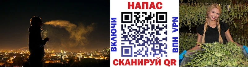 Где найти наркотики Щигры Кокаин  Экстази  АМФ  ГАШИШ  Мефедрон  МАРИХУАНА 