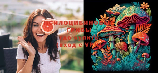 mix Снежногорск