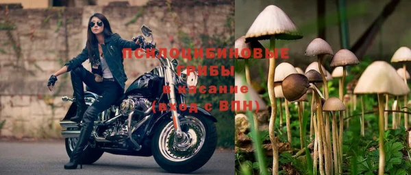 mix Снежногорск