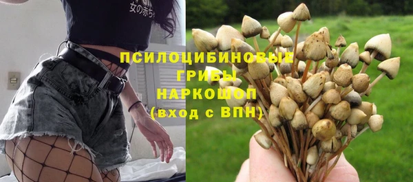 mix Снежногорск