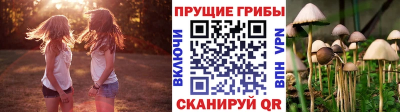 маркетплейс состав  магазин продажи   Щигры  Псилоцибиновые грибы MAGIC MUSHROOMS 